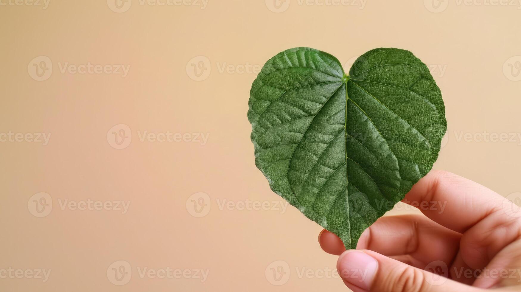 AI generated Generative AI, hand holding green heart shape leaf, renewable and sustainable resources concept photo