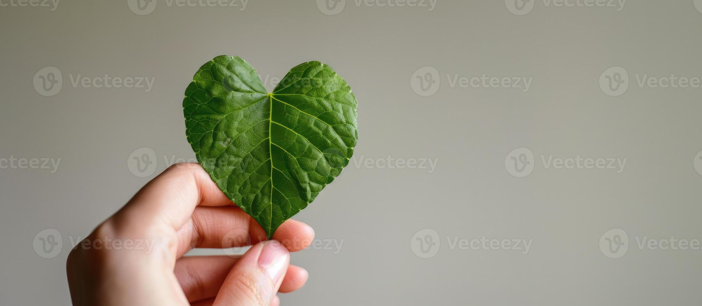 AI generated Generative AI, hand holding green heart shape leaf, renewable and sustainable resources concept photo