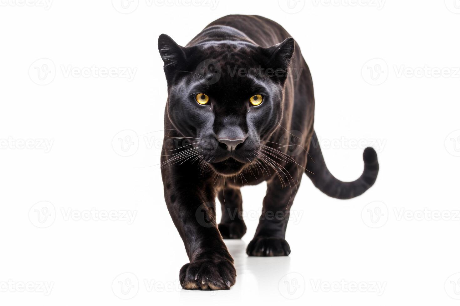 AI generated Black panther closeup photo