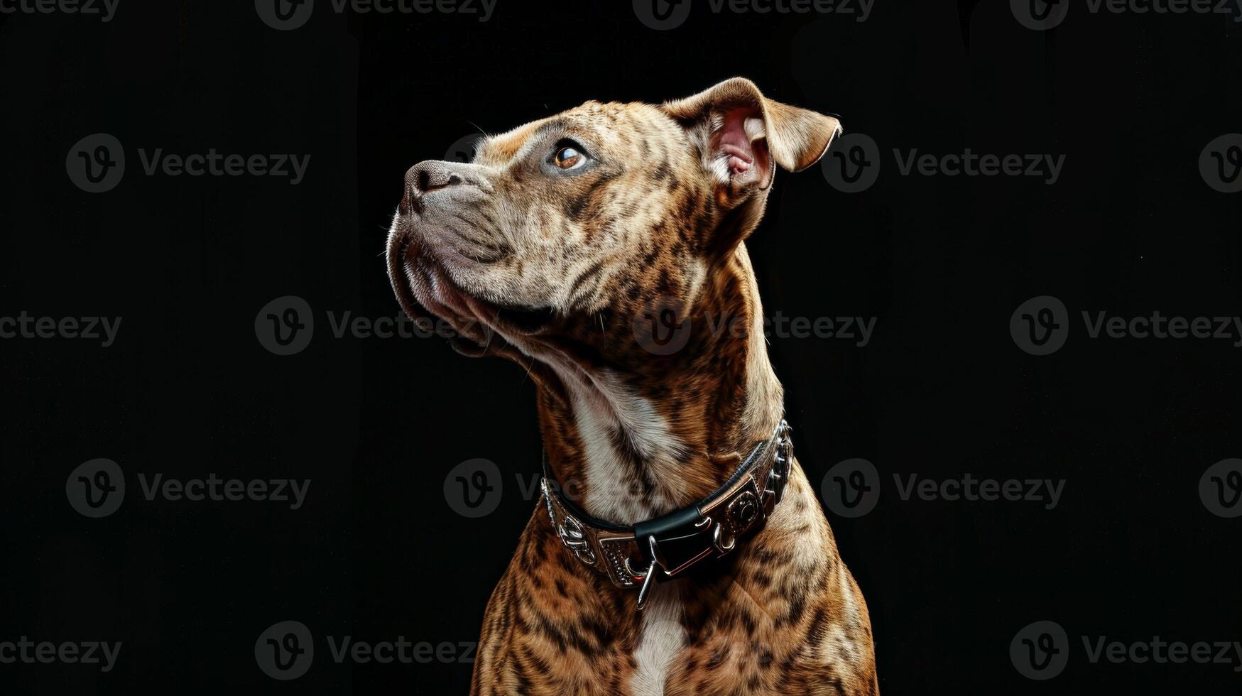 AI generated dog with a dog collar professional photography photo