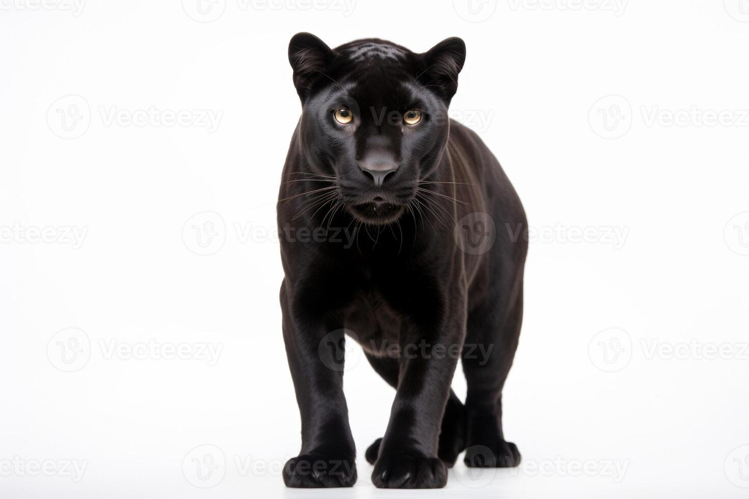 AI generated Black panther closeup photo