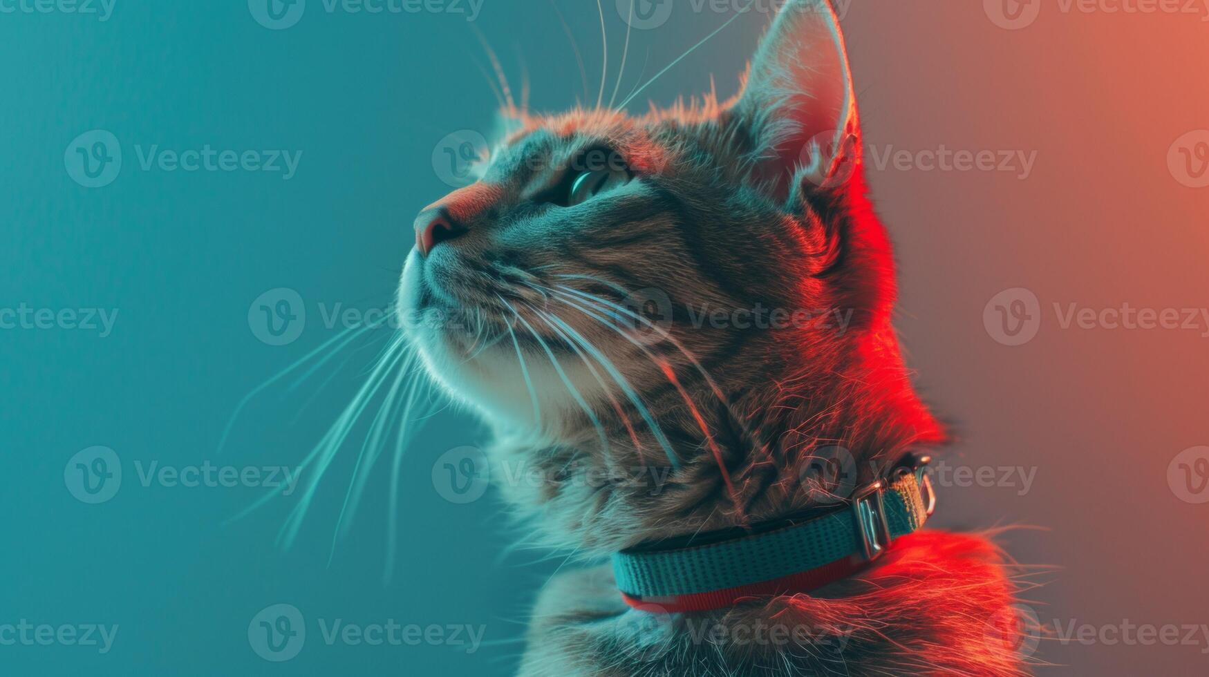 AI generated Cat with a cat collar professional photography photo