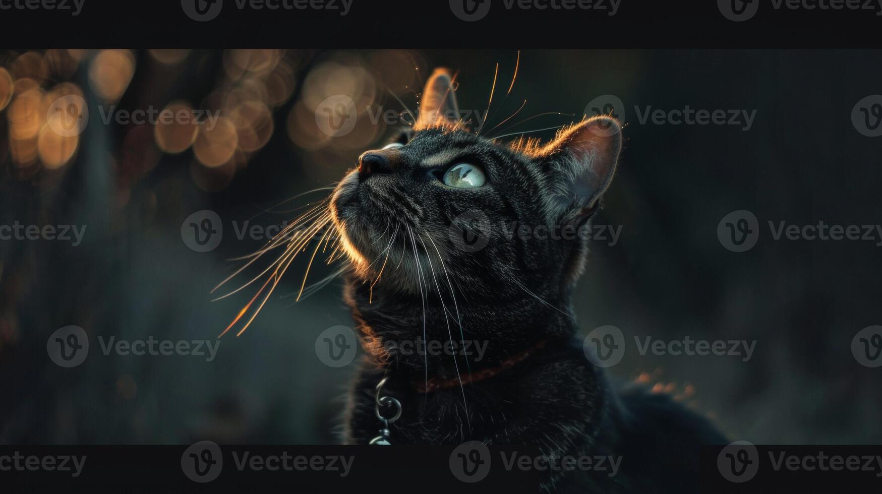 AI generated Cat with a cat collar professional photography photo
