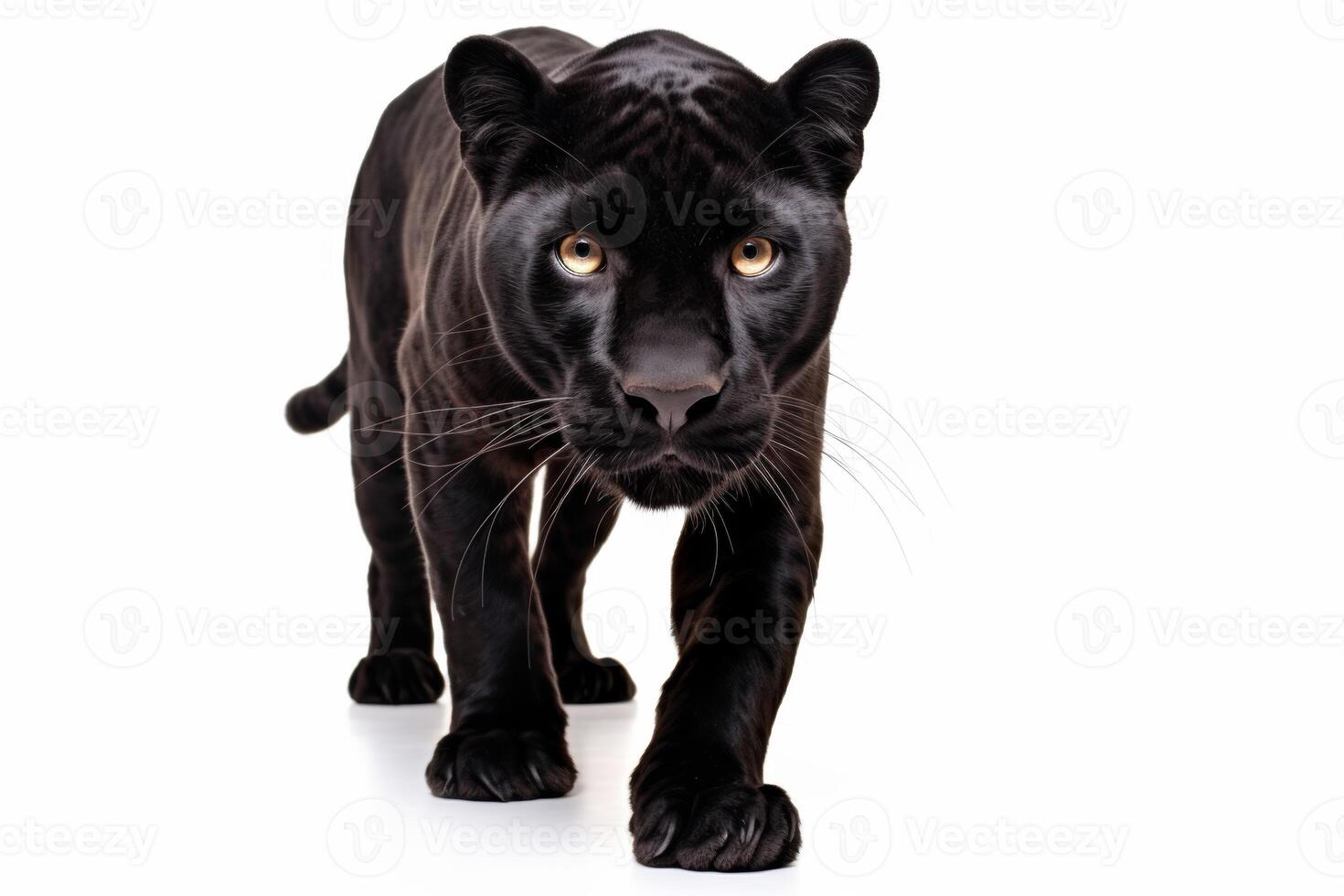 AI generated Black panther closeup photo