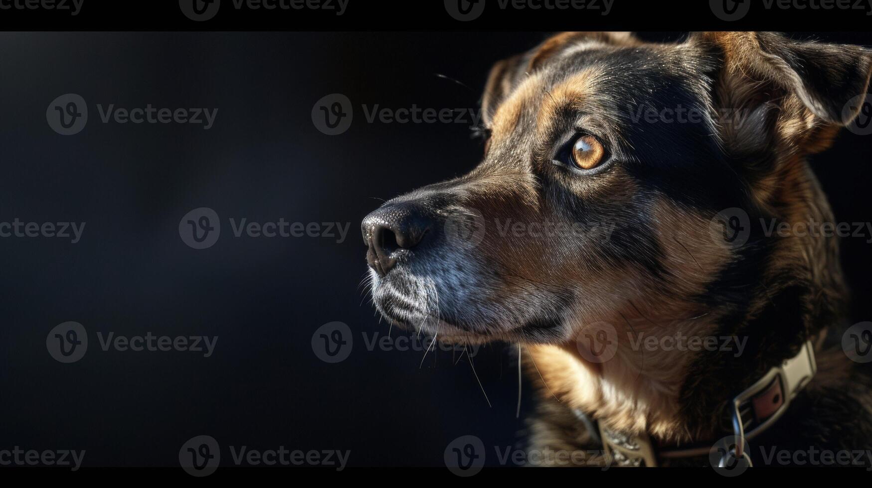 AI generated dog with a dog collar professional photography photo
