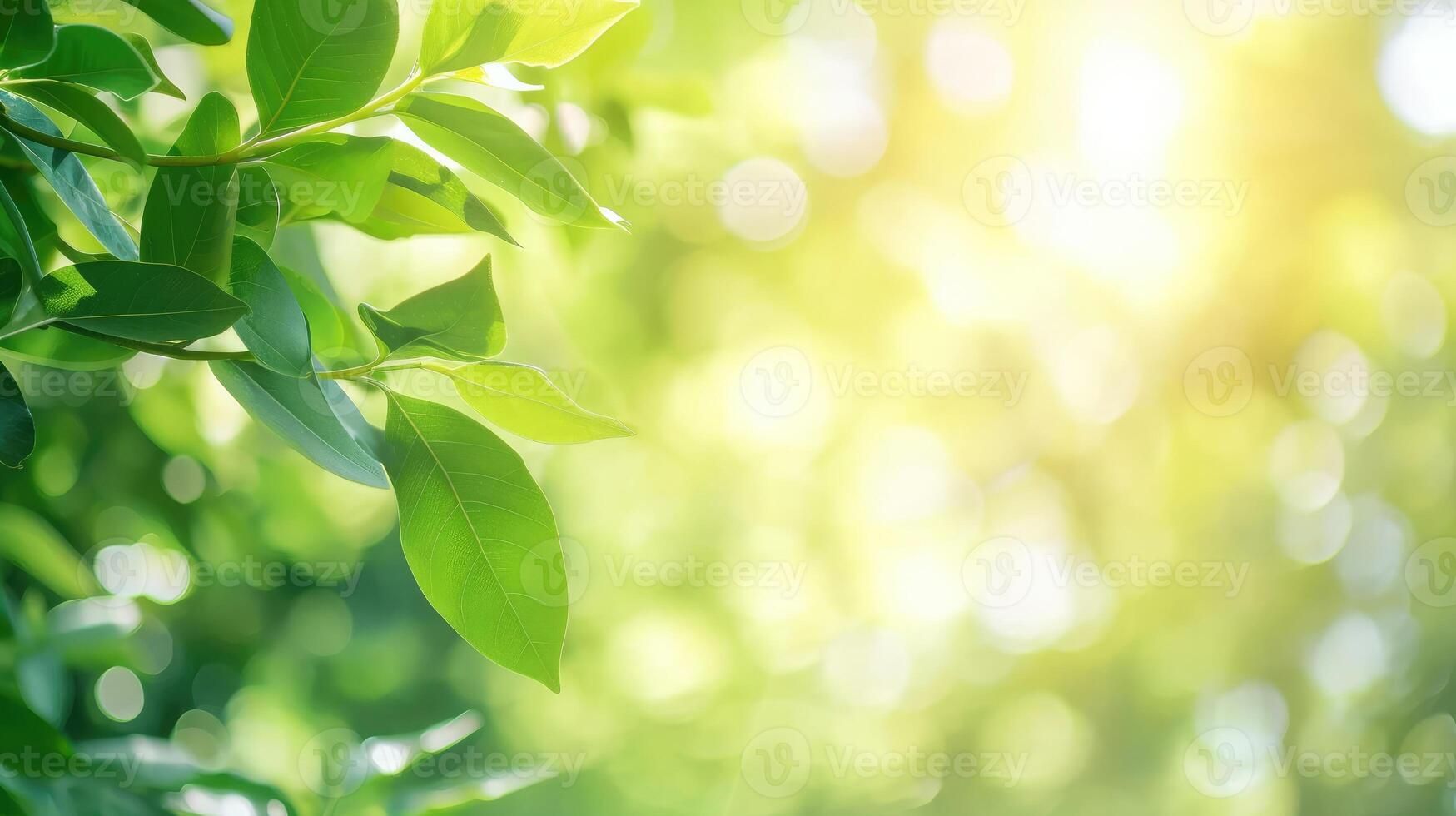 AI generated Beautiful nature view of green leaf on blurred greenery background in garden and sunlight with copy space photo