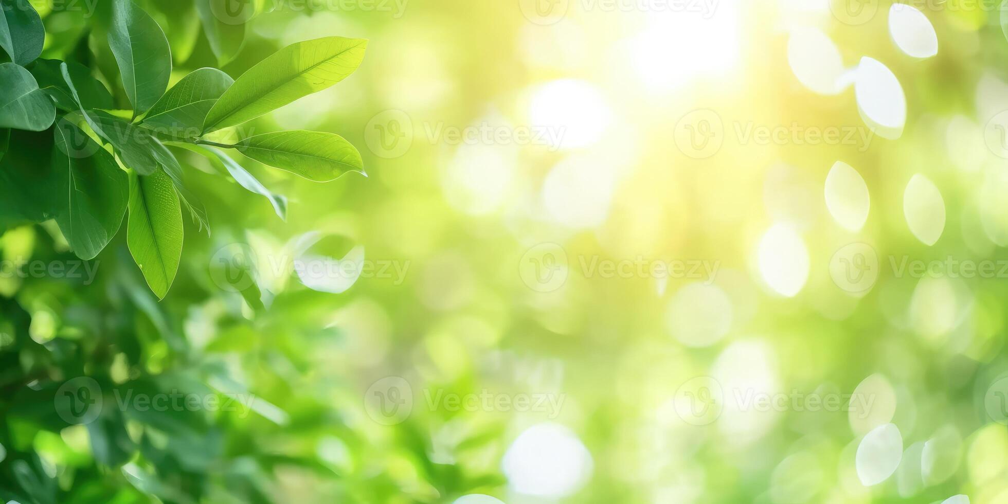 AI generated Beautiful nature view of green leaf on blurred greenery background in garden and sunlight with copy space photo