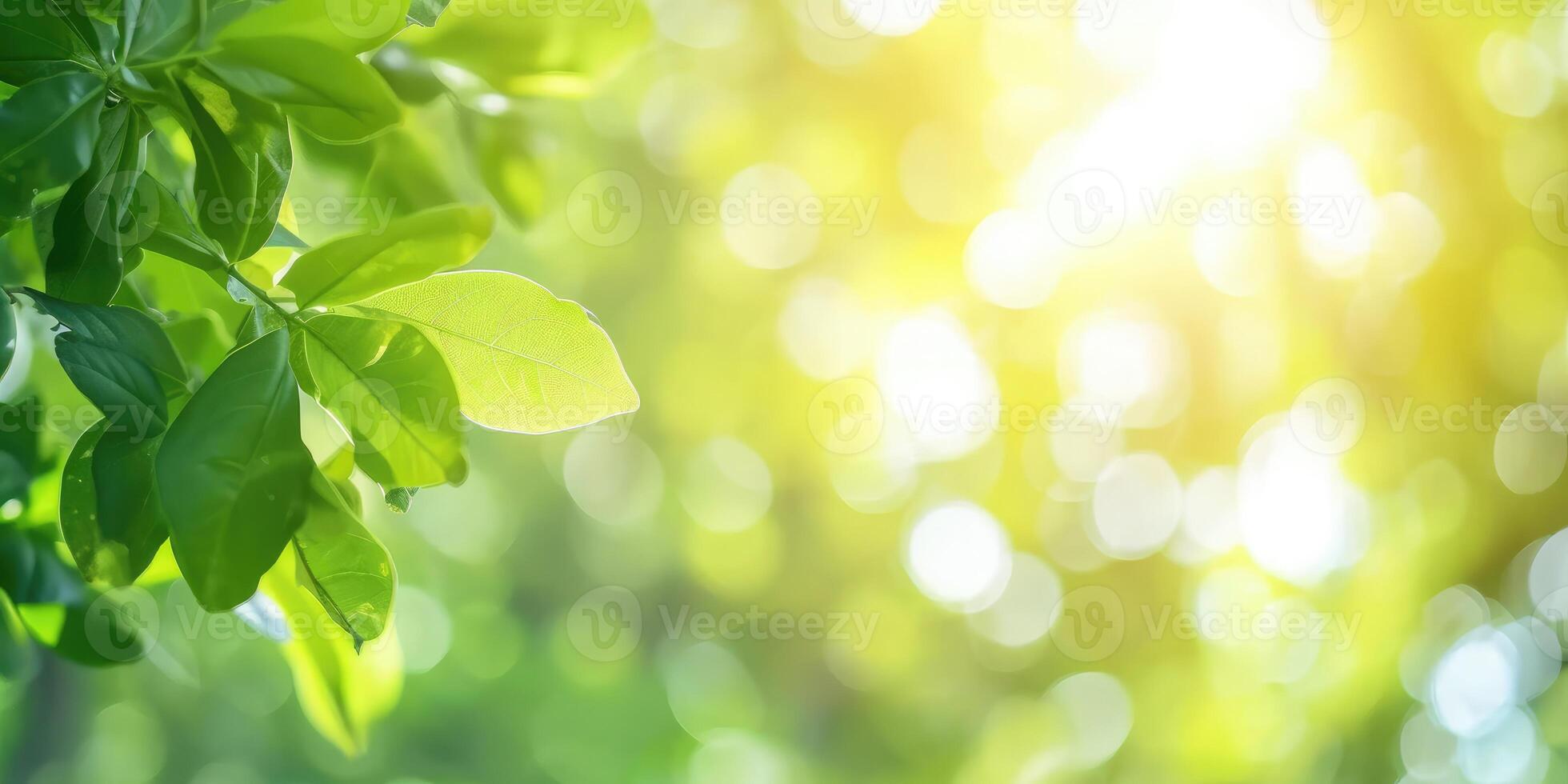 AI generated Beautiful nature view of green leaf on blurred greenery background in garden and sunlight with copy space photo