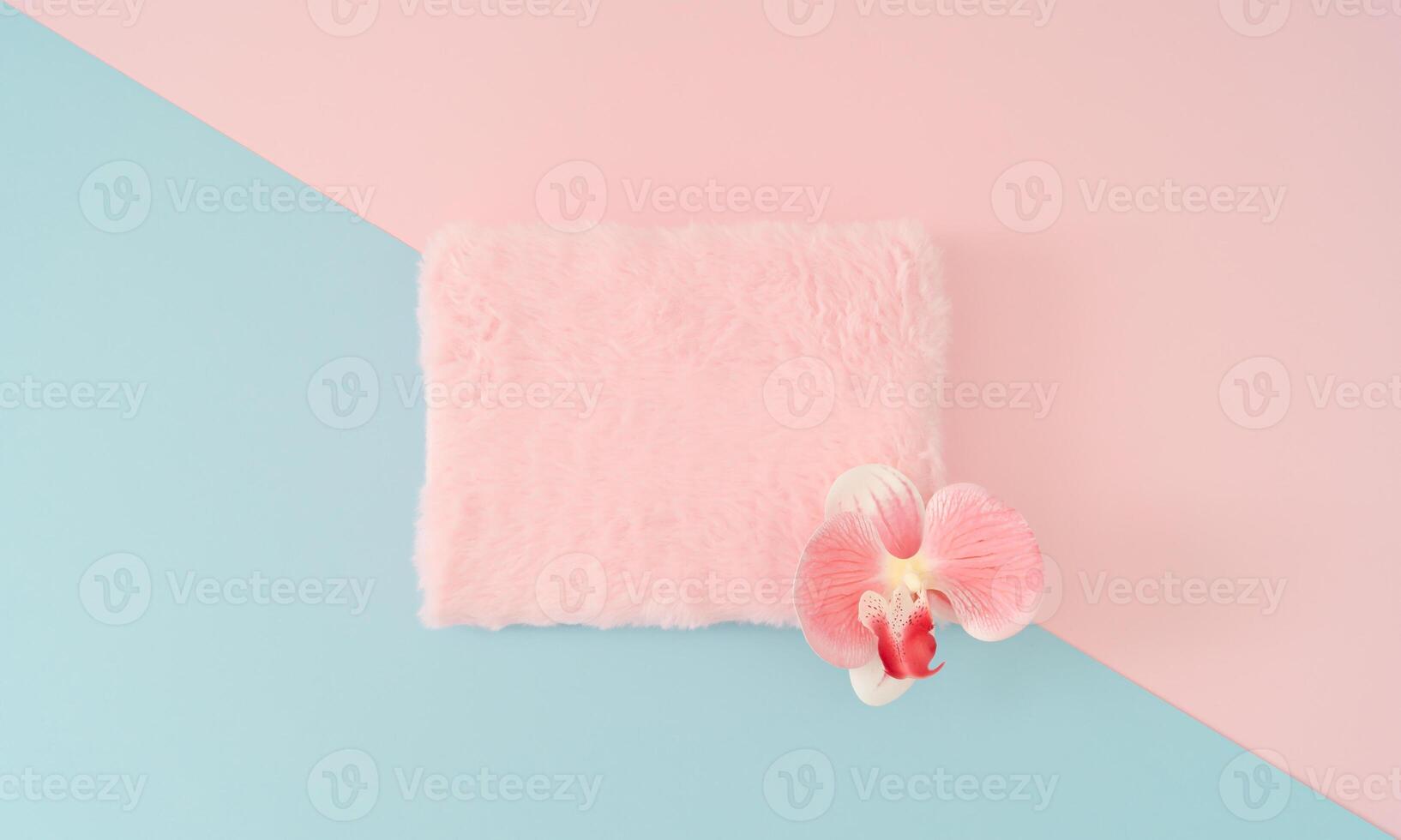 Creative composition made with natural fresh orchid flower and pastel pink faux fur copy space on abstract pastel pink and blue geometric background. Minimal flower concept and simplicity. Flat lay. photo
