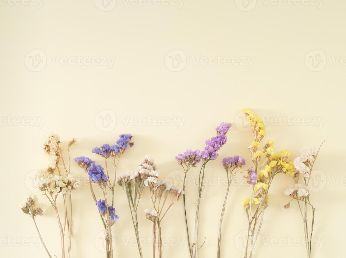 Creative layout made of colorful dry flowers on pastel cream background. Floral greeting card. Minimal concept and simplicity. Nature decorative design. Flat lay. photo