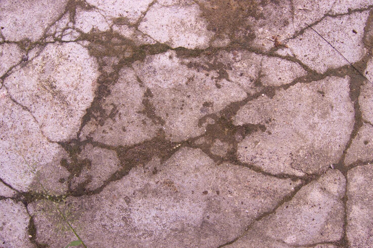 cast floor cracks photo