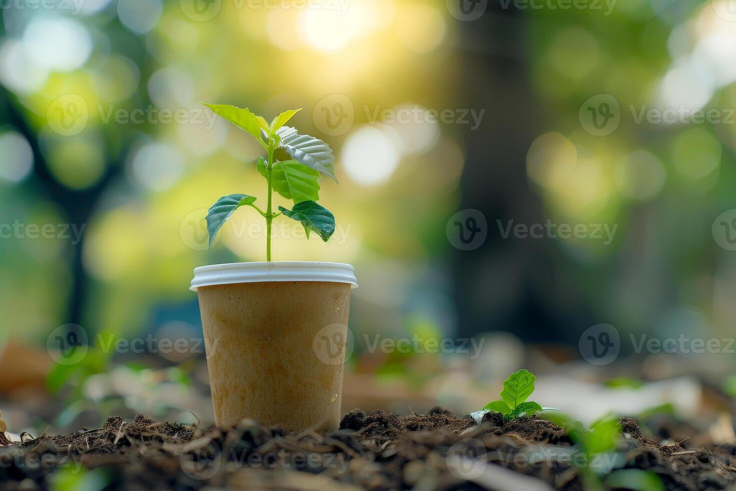 AI generated Sprout growing in the coffee cup. environmentally friendly, recycling, generated with AI photo