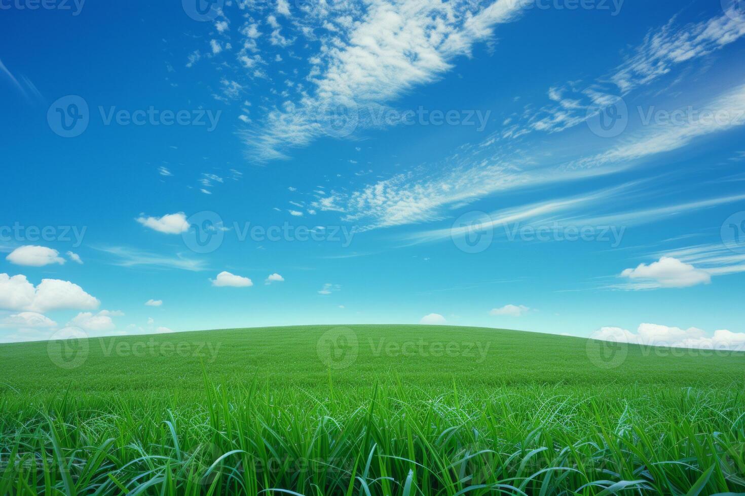 AI generated A Sweeping Landscape View Presents a Verdant Slope Blanketed in Vibrant Green Grass, Harmonizing with a Tranquil Blue Sky and Wispy Clouds photo