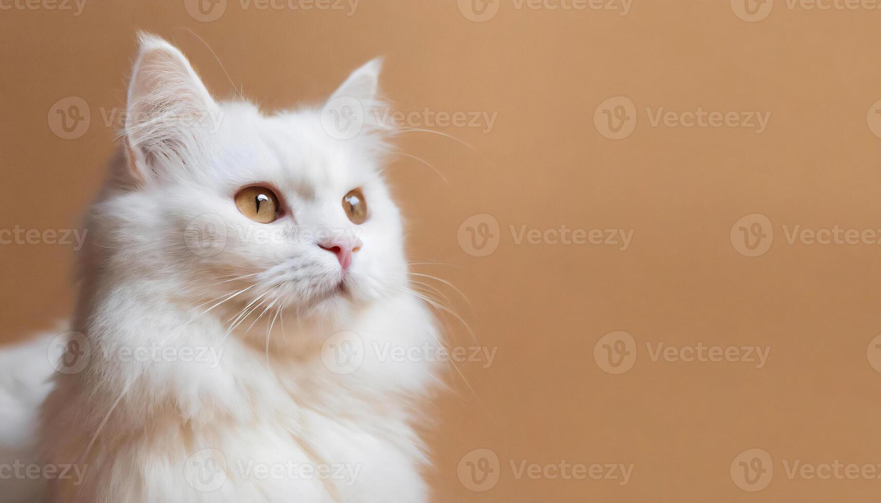 AI generated Cute white fur cat on the warm brown banner with copy space photo