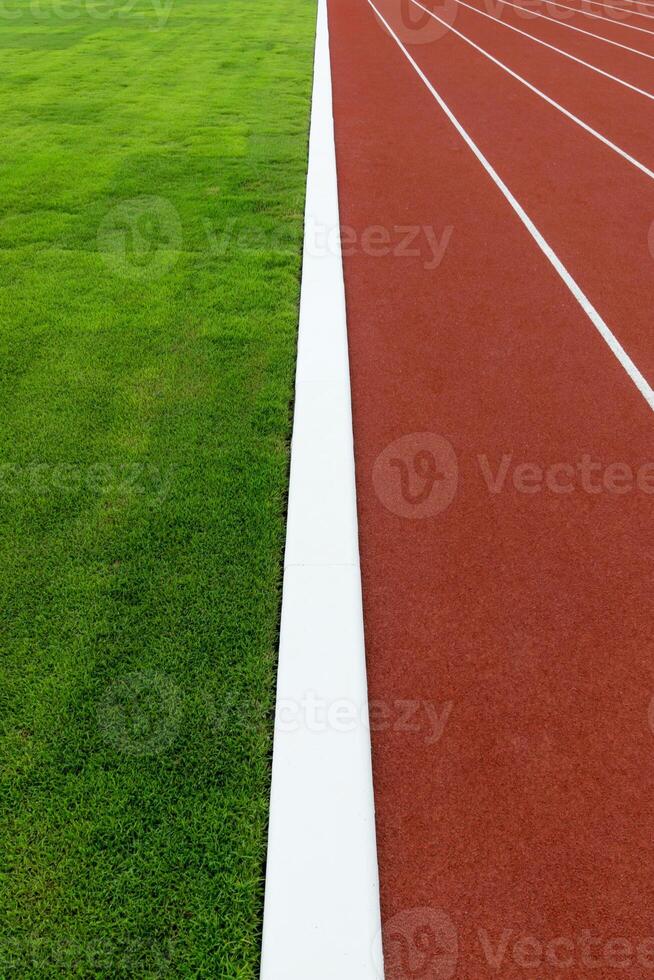 el césped y rueda de andar en el estadio. foto