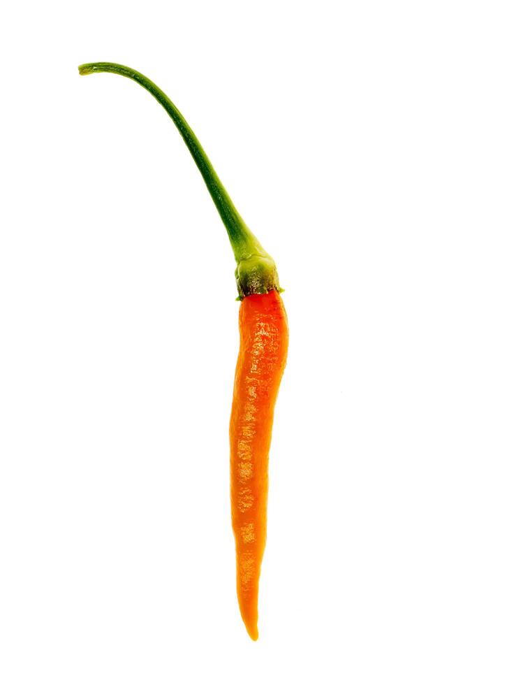 Fresh chilli on white background. photo