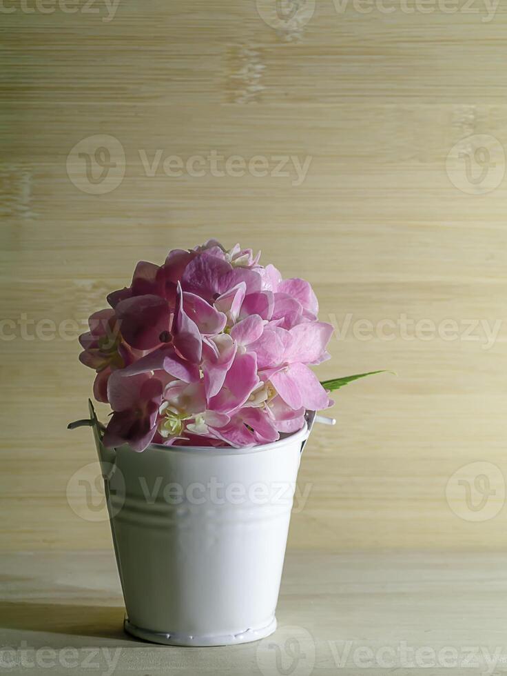 Close up Hydrangea flower photo