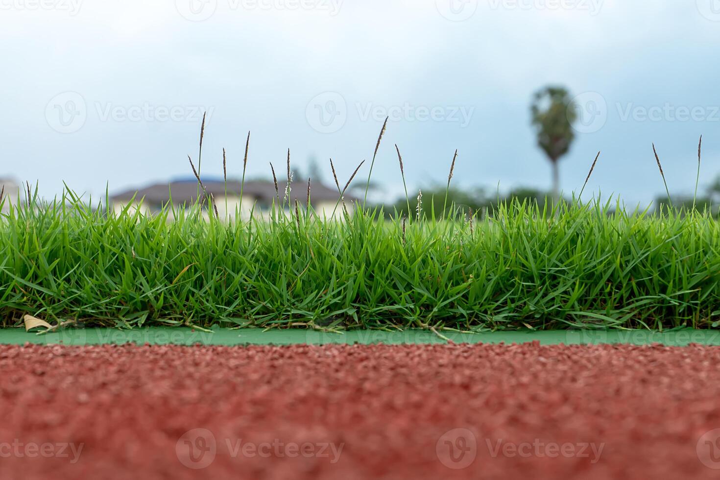 The grass and treadmill in the stadium. photo