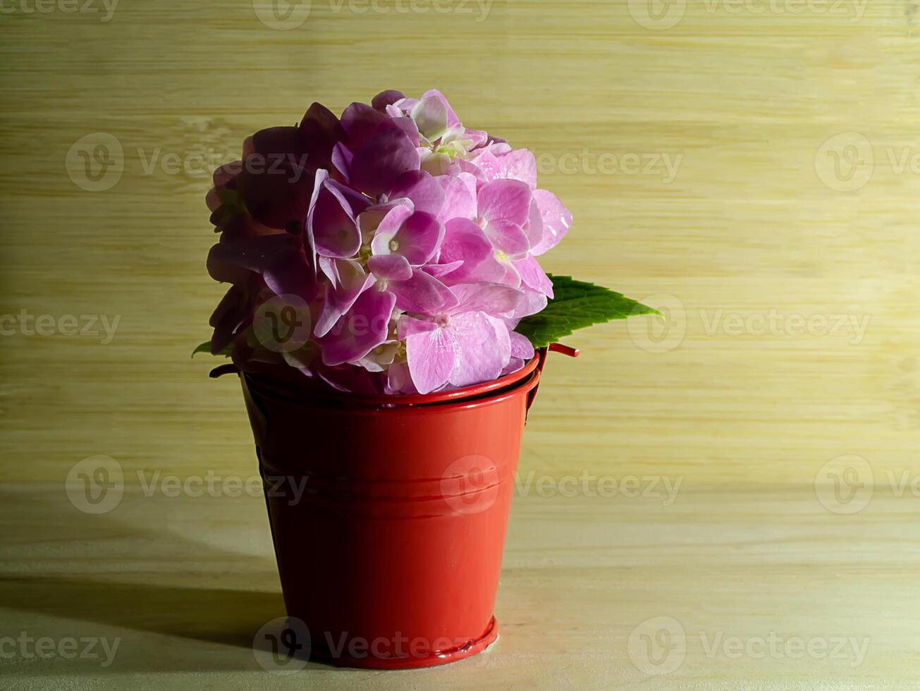 Close up Hydrangea flower photo