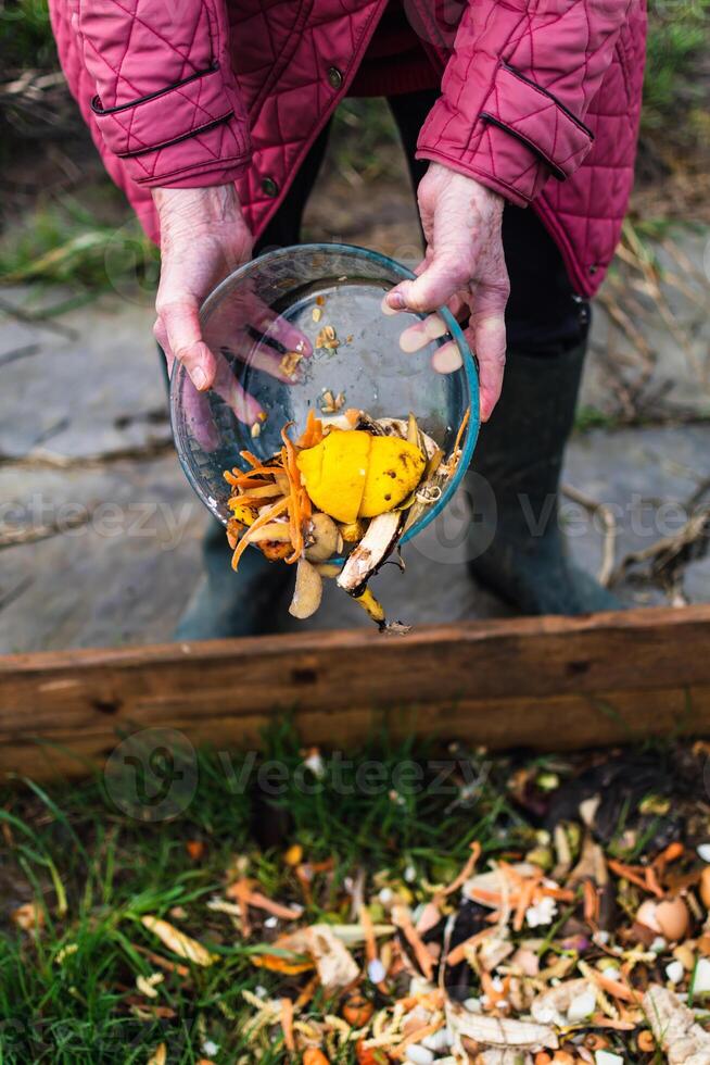 Person who put in a composter some kitchen waste like vegetables, fruits, eggshell, coffee grounds in order to sort and make bio fertilizer photo