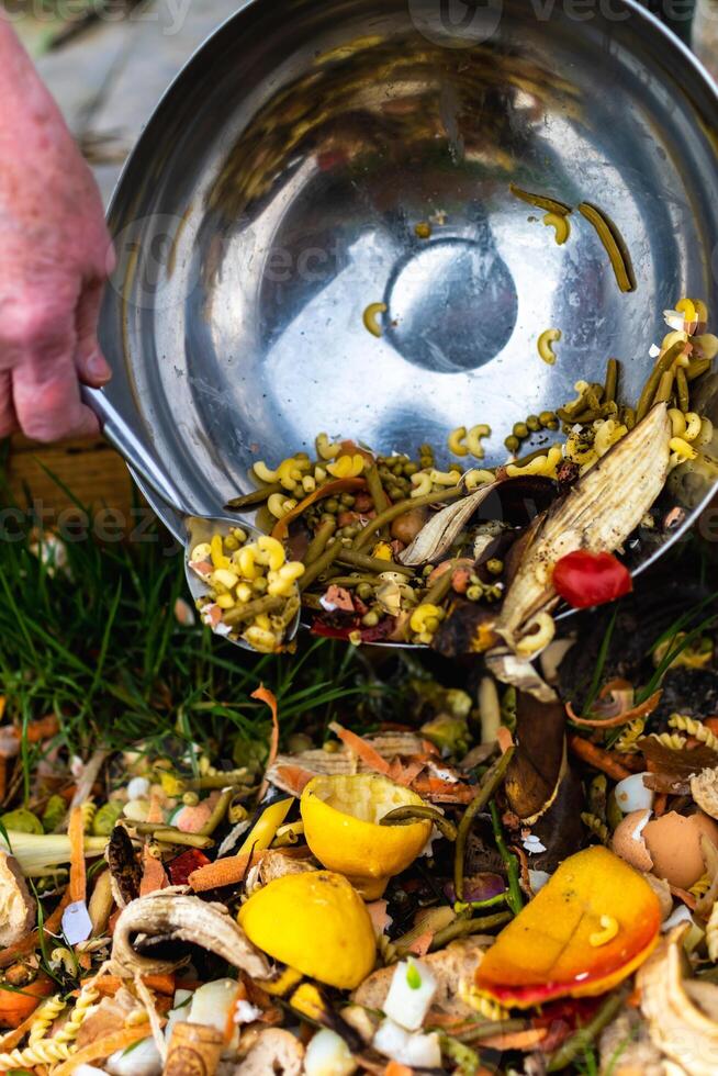 Person who put in a composter some kitchen waste like vegetables, fruits, eggshell, coffee grounds in order to sort and make bio fertilizer photo