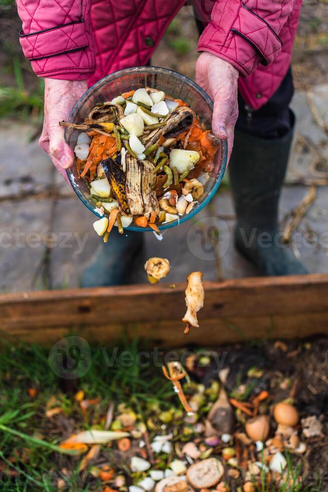 persona quien poner en un compostador algunos cocina residuos me gusta verduras, frutas, cáscara de huevo, café jardines en orden a ordenar y hacer bio fertilizante foto