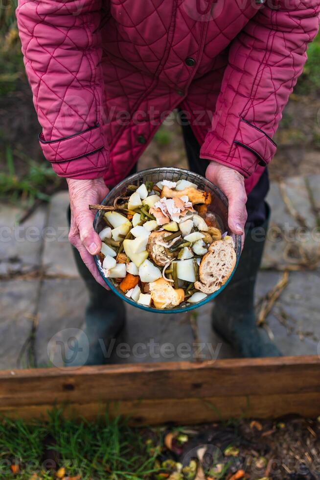 Person who put in a composter some kitchen waste like vegetables, fruits, eggshell, coffee grounds in order to sort and make bio fertilizer photo