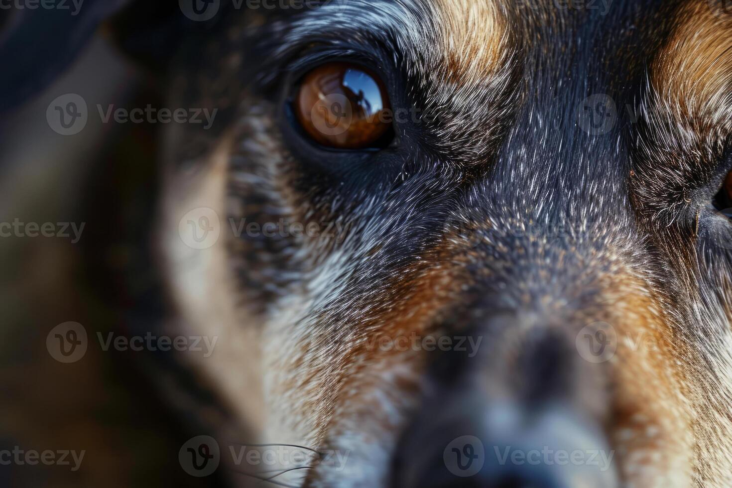 AI generated Dog's face with expressive eyes. Pets and lifestyle concept. Generative AI photo