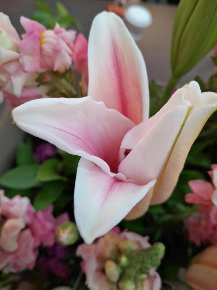 foto Cubeta con varios tipos de hermosa flores