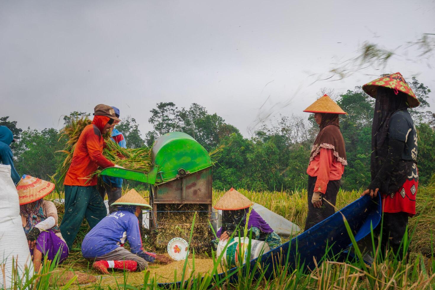 the beauty of the morning panorama with sunrise in indonesia village photo