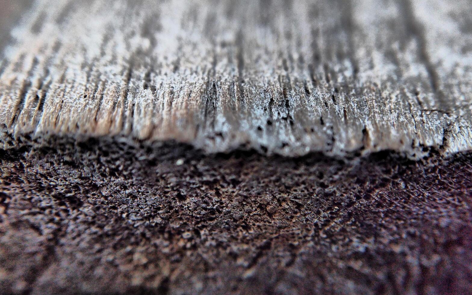 Macro shot of old wooden surface. Shallow depth of field. photo