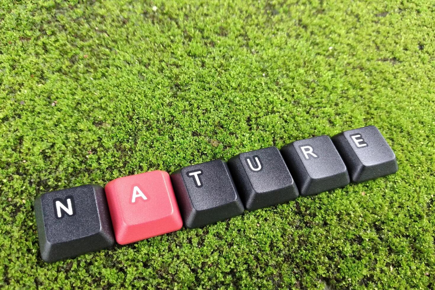 Keyboard with the word NATURE, on green moss background photo