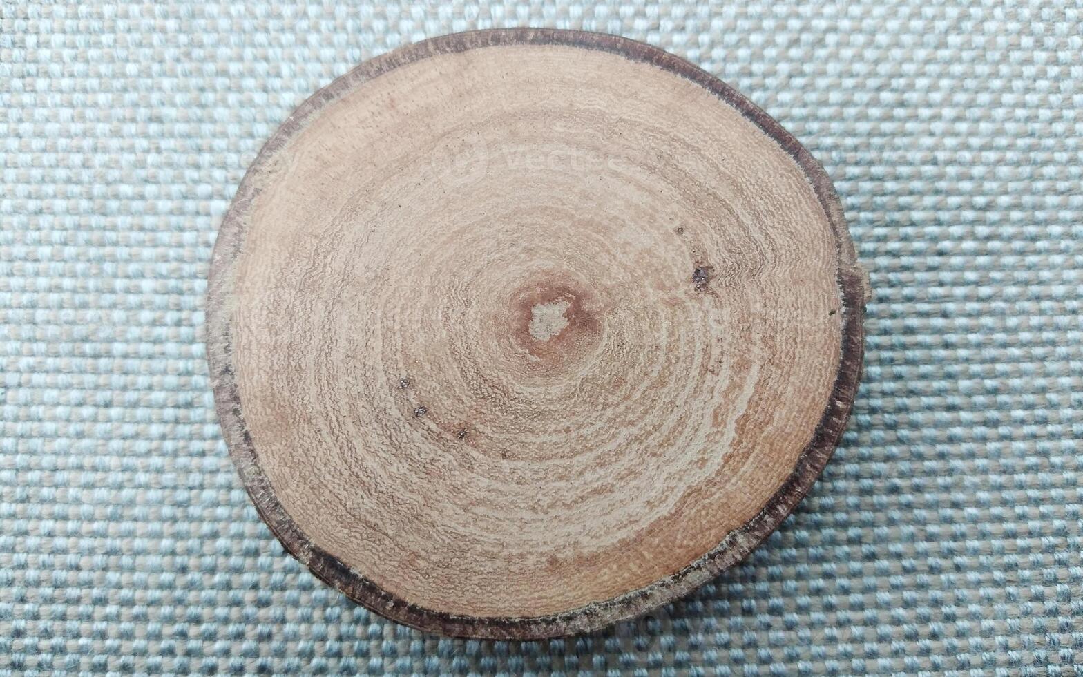Wooden cross section of a tree trunk on a background of green grass photo