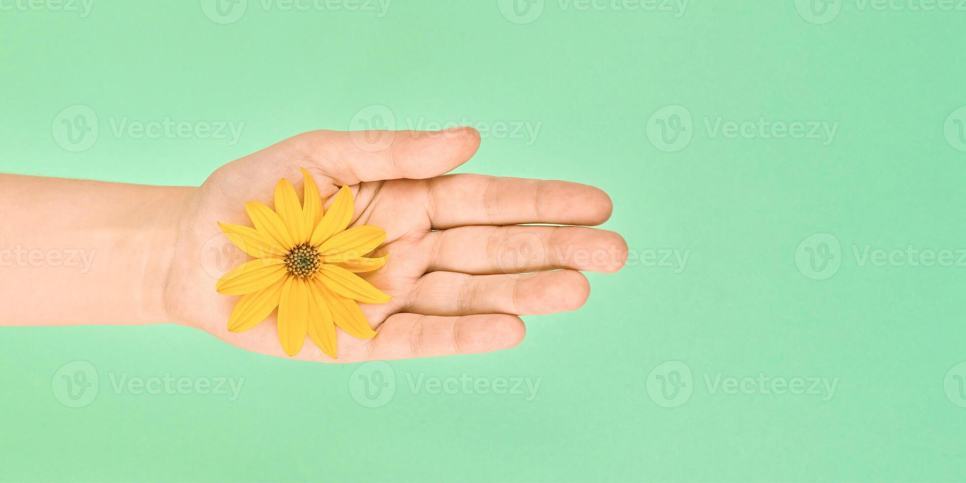 flor amarilla en la palma femenina, salvar el medio ambiente, concepto de cuidado cosmético de la piel, símbolo de naturaleza pura foto