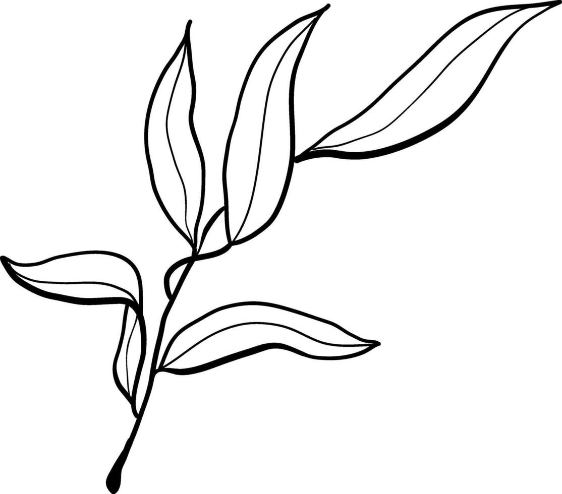 Vector doodle olive branch illustration.The concept of Mediterranean food. Italian Greek plant isolated on white background.