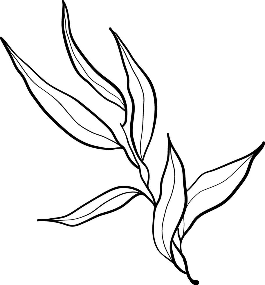 vector garabatear aceituna rama ilustracion.la concepto de Mediterráneo alimento. italiano griego planta aislado en blanco antecedentes.