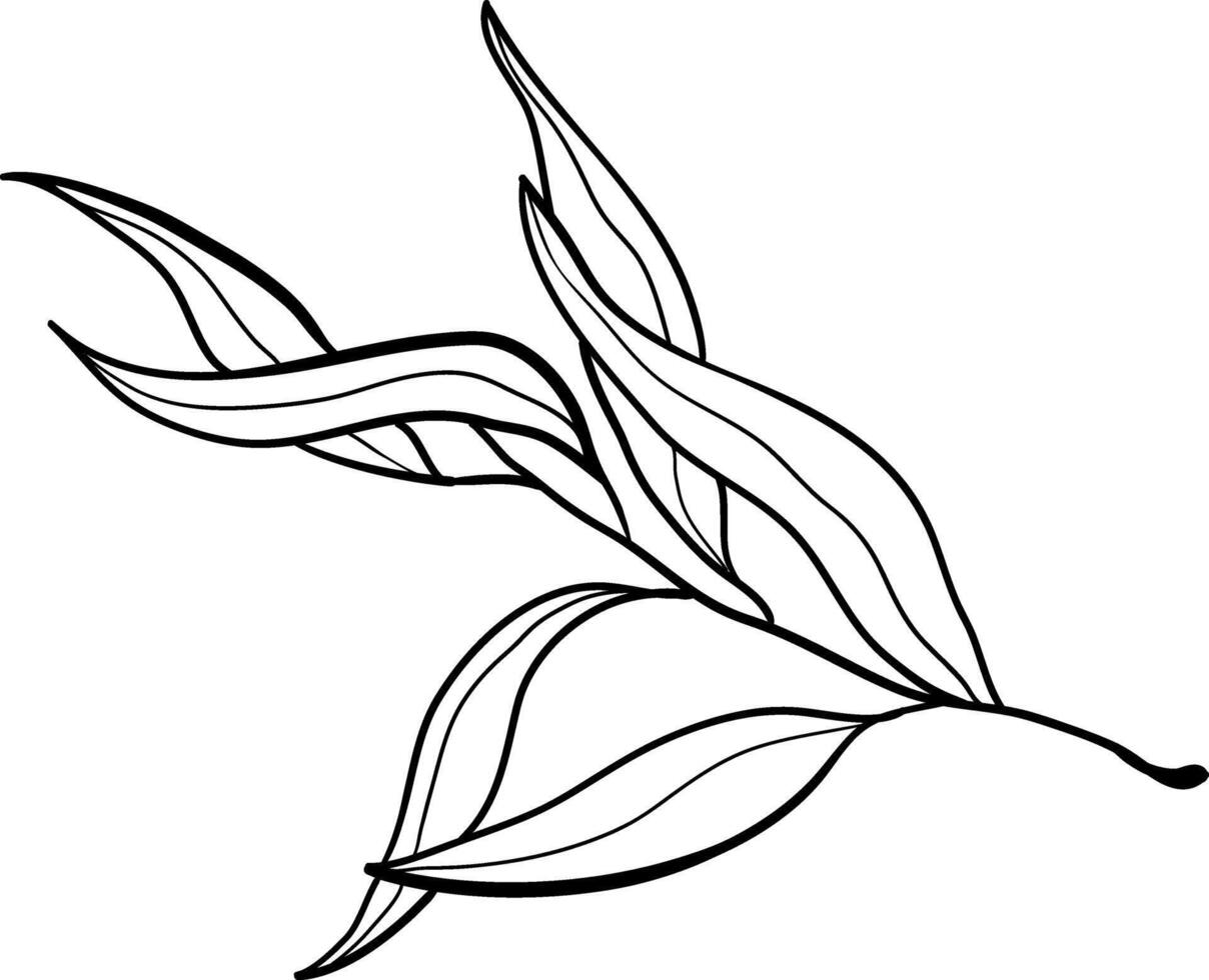 Vector doodle olive branch illustration.The concept of Mediterranean food. Italian Greek plant isolated on white background.