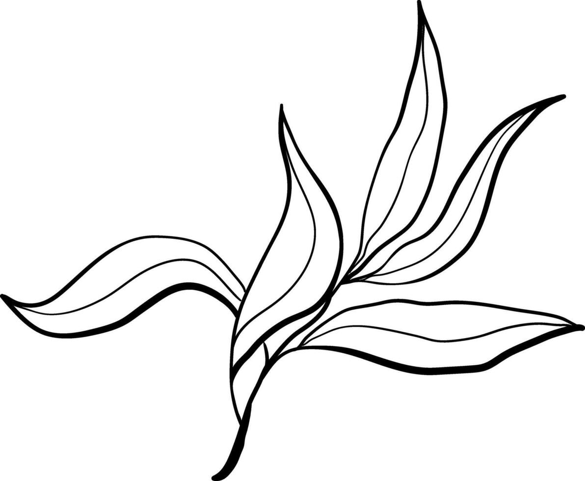 Vector doodle olive branch illustration.The concept of Mediterranean food. Italian Greek plant isolated on white background.
