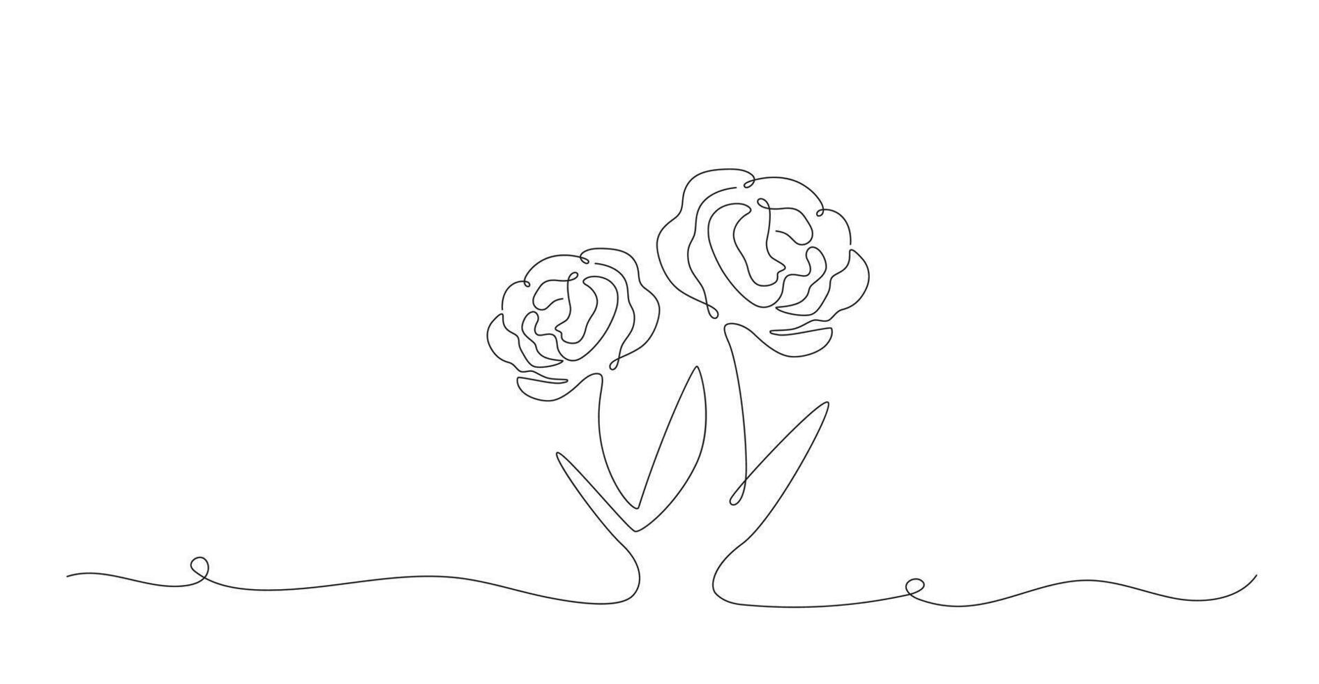 Two roses in continuous line art vector