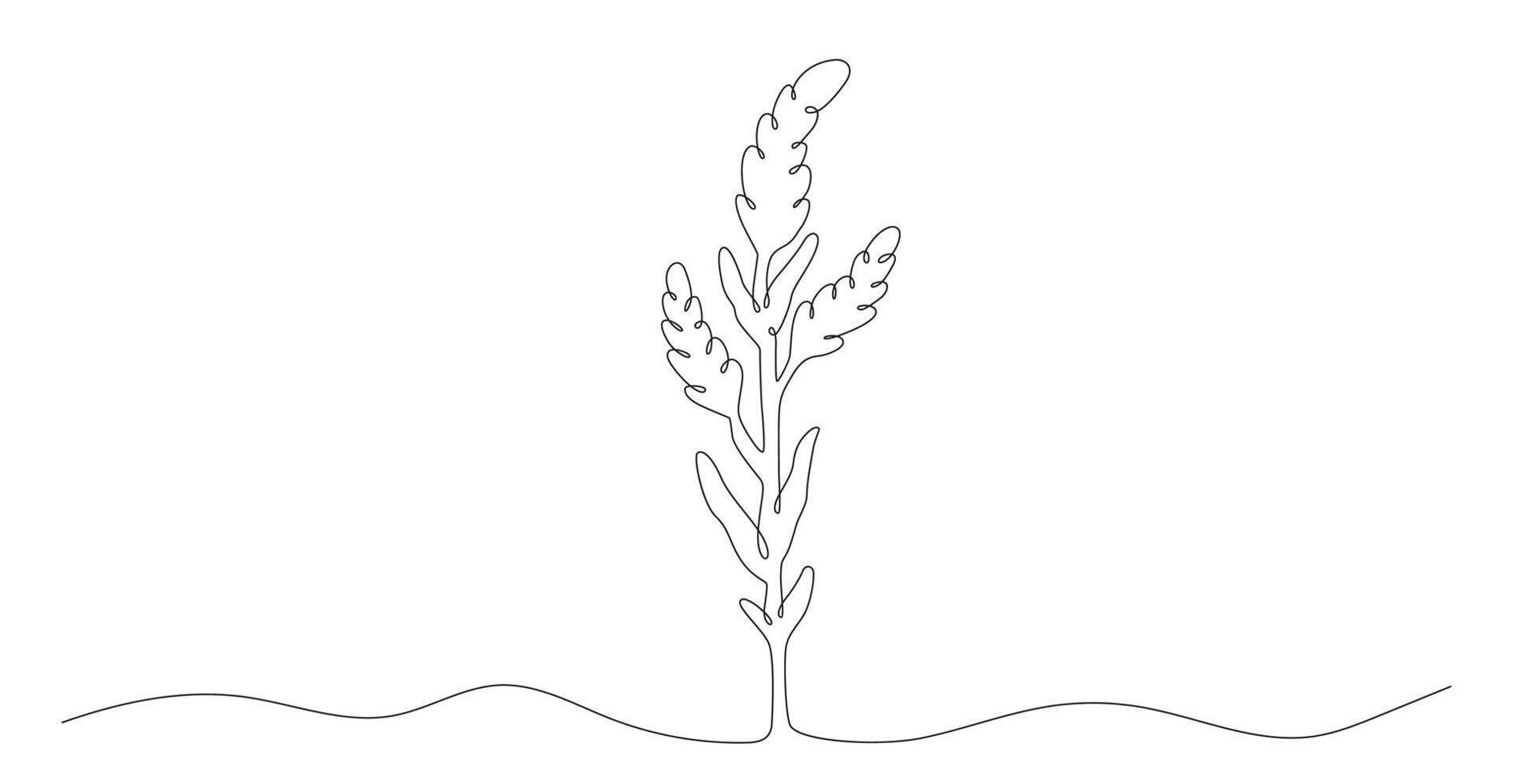 Meadow flower in continuous line art vector