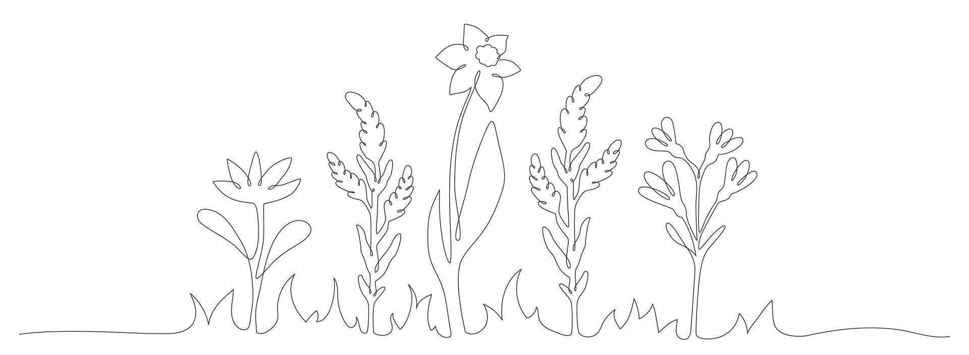 Wildflowers in continuous line art vector