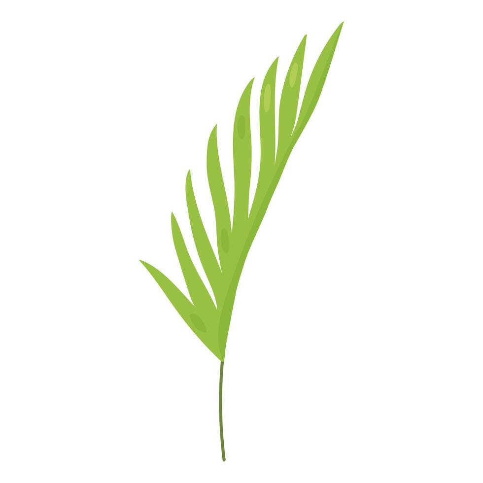 Tropical leaf isolated on white background. Vector hand-drawn illustration. Perfect for logo, cards, decorations, various designs. Botanical clipart.