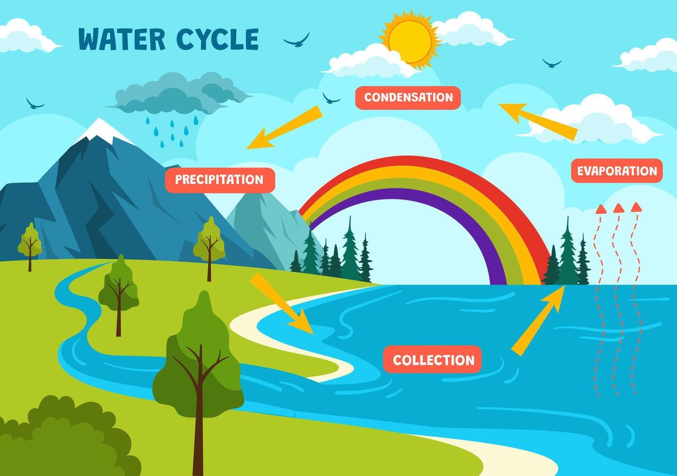 agua ciclo vector ilustración con evaporación, condensación, precipitación a colección en tierra natural ambiente en plano dibujos animados antecedentes