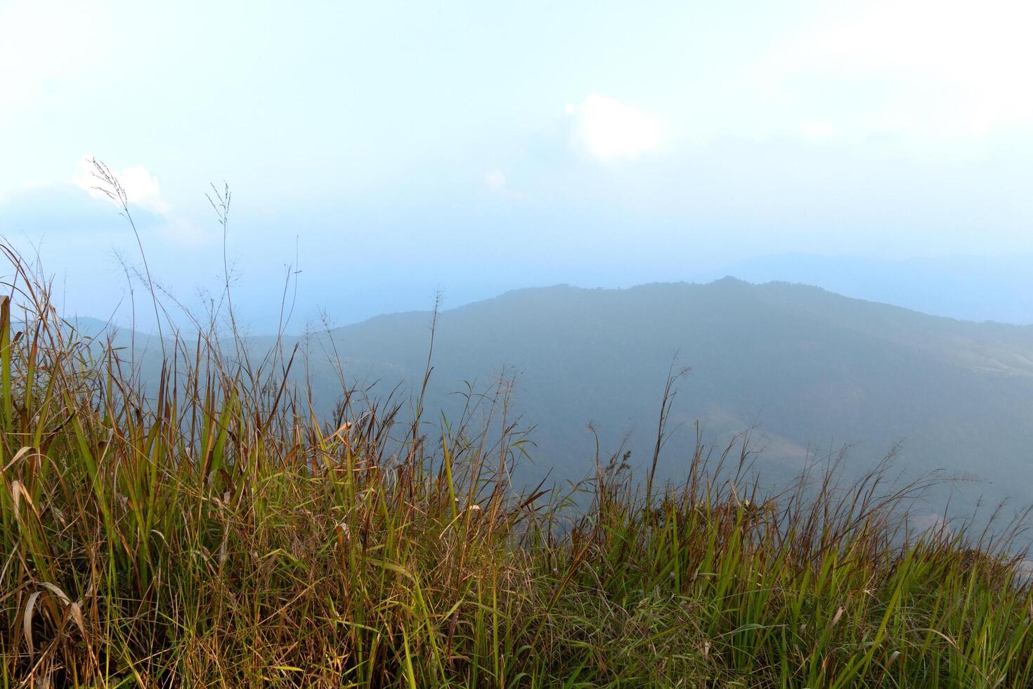 The foreground is covered with grass. Landscape view of mountain ranges lined up background. Under fog covers the sky. At Phu Langka Phayao Province of Thailand. photo