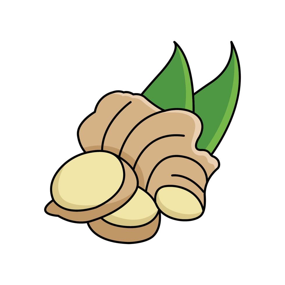 ginger icon vector design template in white background 40162411 Vector ginger icon vector design template in white background 40162411 Vector