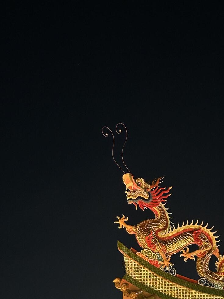 Golden Dragon Statue Under Starry Night photo