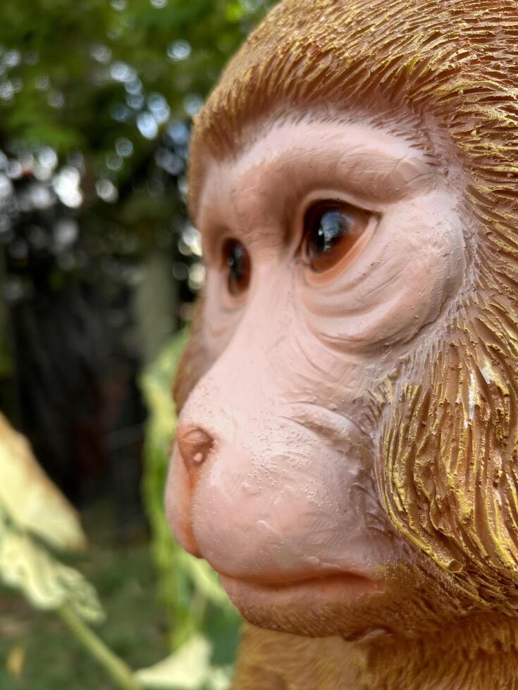 Close Up Shot of Golden Monkey Sculpture photo