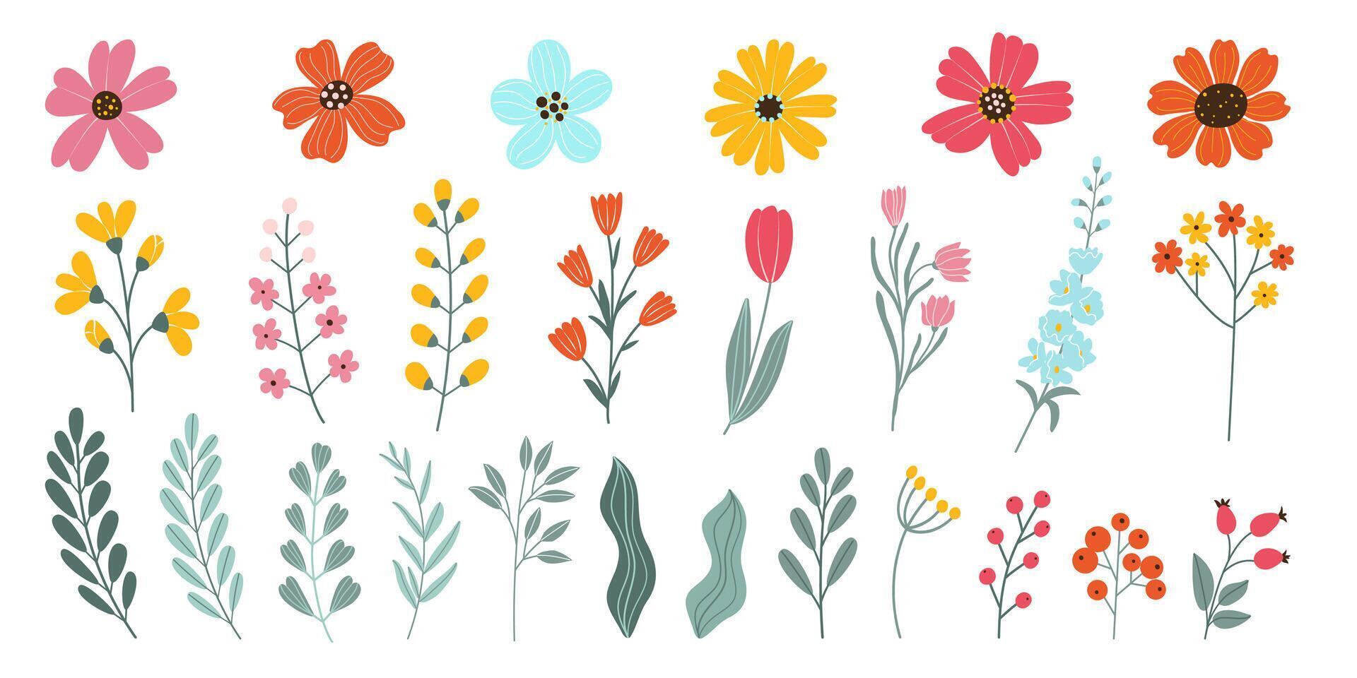 conjunto aislado mano dibujado primavera y verano flores florecer cabezas de flores, hierbas, hojas, sucursales, bayas, tulipán. plano vector ilustración en blanco antecedentes. elementos para tu diseño