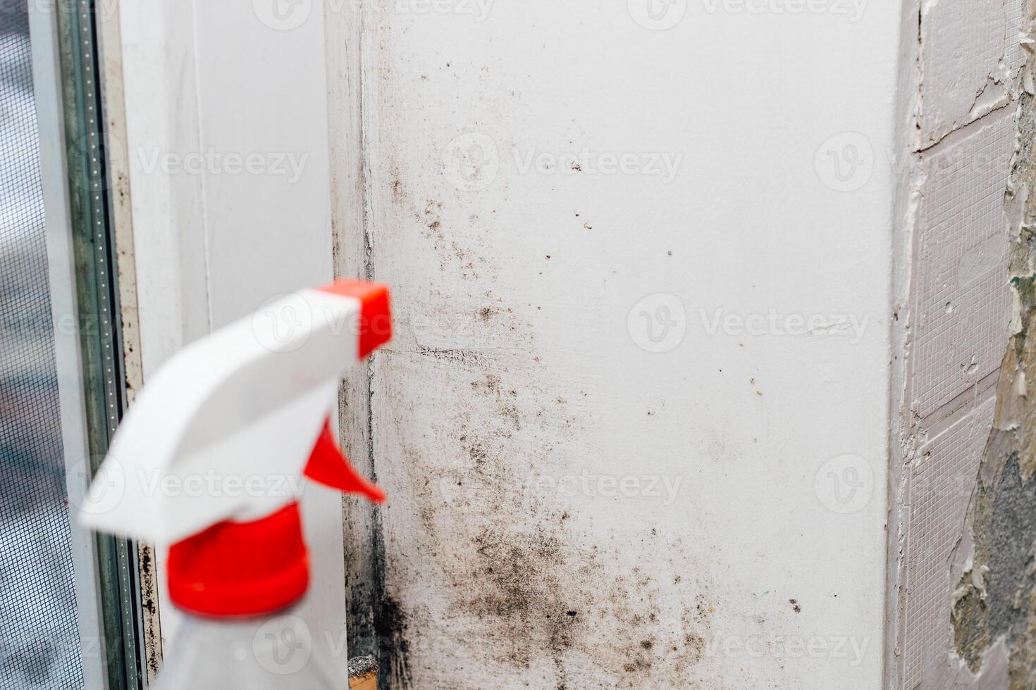 A blackened blooming fungus in the corner of the window, spray from the fungus. photo