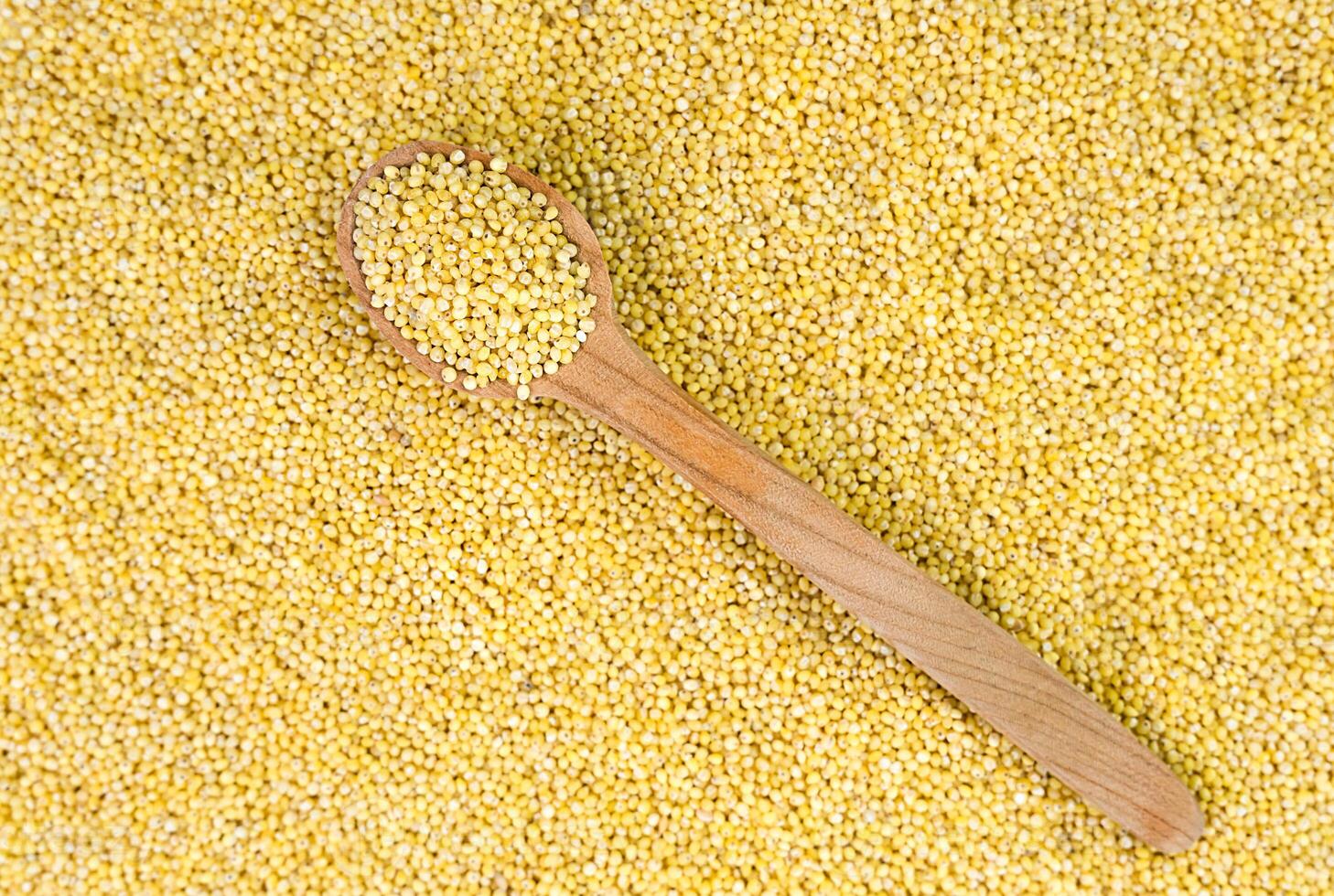 Raw millet groats in a wooden spoon on a background of millet. Banner. Top view. Close-up. Selective focus. photo